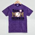 Baseball Senior Class Of 2027 Senior 2027 Graduation Women Mineral Wash Tshirts Mineral Purple