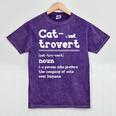 Cat-Trovert Definition Cat Introvert Pet Lover Mineral Wash Tshirts Mineral Purple Cat-Trovert Definition Cat Introvert Pet Lover Mineral Wash Tshirts Mineral Purple
