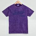 Chemical Engineer 2020 Graduation Engineering Mineral Wash Tshirts Mineral Purple