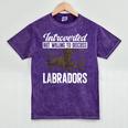 Chocolate Lab Dog Introvert Chocolate Labrador Retriever Mineral Wash Tshirts Mineral Purple Chocolate Lab Dog Introvert Chocolate Labrador Retriever Mineral Wash Tshirts Mineral Purple