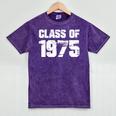 Class Of 1975 Highschool College Graduation Reunion T- Mineral Wash Tshirts Mineral Purple