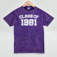 Class Of 1981 School Tee Shirt Graduation Class Party Mineral Wash Tshirts Mineral Purple