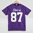 Class Of 1987 Matching Graduation High School Reunion Mineral Wash Tshirts Mineral Purple