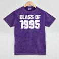 Class Of 1995 High School College Graduation Reunion T-Shirt Mineral Wash Tshirts Mineral Purple