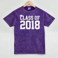 Class Of 2018 Graduation Senior High School College Mineral Wash Tshirts Mineral Purple
