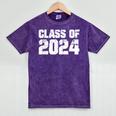 Class Of 2024 High School College Graduation Reunion T-Shirt Mineral Wash Tshirts Mineral Purple