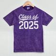 Class Of 2025 Graduation Vintage Freshman Tee T-Shirt Mineral Wash Tshirts Mineral Purple