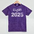 Class Of 2025 Senior 2025 Graduation Vintage School Spirit Mineral Wash Tshirts Mineral Purple