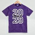 Class Of 2029 Graduating School Class Of 2029 Graduation Mineral Wash Tshirts Mineral Purple