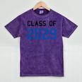 Class Of 2029 Graduation T-Shirts Mineral Wash Tshirts Mineral Purple