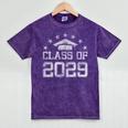 Class Of 2029 Grow With Me Graduation Back To School Mineral Wash Tshirts Mineral Purple