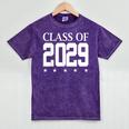 Class Of 2029 School Graduation Graduate s Mineral Wash Tshirts Mineral Purple