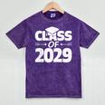 Class Of 2029 Shirt For Elementary Kids Graduation Mineral Wash Tshirts Mineral Purple