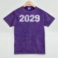 Class Of 2029 Shirt Graduation Vintage Him Her Senior 2029 Mineral Wash Tshirts Mineral Purple