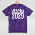 Class Of 2029 Shirt Senior 2029 Graduation Mineral Wash Tshirts Mineral Purple