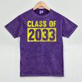 Class Of 2033 Future Graduation Tee T-Shirt Mineral Wash Tshirts Mineral Purple