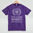 College University School Parody Students Graduation Mineral Wash Tshirts Mineral Purple