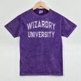 Crazy Antisocial WIZARDRY UNIVERSITY Introvert Don't Call Me Mineral Wash Tshirts Mineral Purple Crazy Antisocial WIZARDRY UNIVERSITY Introvert Don't Call Me Mineral Wash Tshirts Mineral Purple