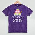 Cute Pink School Owl Class Of 2018 Graduation Mineral Wash Tshirts Mineral Purple
