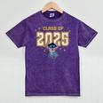 Disney Lilo & Stitch Graduation 2025 Stitch Collegiate Mineral Wash Tshirts Mineral Purple