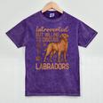 Fox Red Labrador Retriever Introvert Foxred Lab Mineral Wash Tshirts Mineral Purple