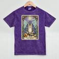 The Hermit Cat Tarot Card Introvert By Georgi Mineral Wash Tshirts Mineral Purple