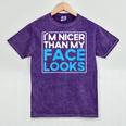 I'm Nicer Than My Face Looks Shy People Introverts Mineral Wash Tshirts Mineral Purple