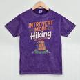 Introvert Mode Hiking Activated Hiker Mineral Wash Tshirts Mineral Purple Introvert Mode Hiking Activated Hiker Mineral Wash Tshirts Mineral Purple