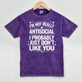 Introverted I'm Not Really Antisocial I Probably Mineral Wash Tshirts Mineral Purple