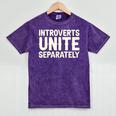 Introverts Unite Separately I Introvert Mineral Wash Tshirts Mineral Purple Introverts Unite Separately I Introvert Mineral Wash Tshirts Mineral Purple