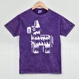 Lone Vibes Celebration Individualistic Introvert Party Mineral Wash Tshirts Mineral Purple