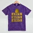Medieval Frog Meme Sarcastic Introvert Humor Fantasy Mineral Wash Tshirts Mineral Purple