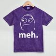 Meh Shirt Teacher Idea College Geek Graduation Tshirt Mineral Wash Tshirts Mineral Purple