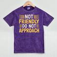 Not Friendly Do Not Approach Introvert Antisocial Mineral Wash Tshirts Mineral Purple Not Friendly Do Not Approach Introvert Antisocial Mineral Wash Tshirts Mineral Purple