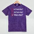 Not Introvert Not Extrovert Pervert Visual Joke Ambivert Mineral Wash Tshirts Mineral Purple