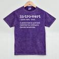 Pet Tarantula Willing To Discuss Tarantulas Introvert Mineral Wash Tshirts Mineral Purple