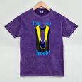 PhD Hood Graduation Shirt Doctorate Degree Doctoral Mineral Wash Tshirts Mineral Purple