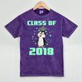 Pinguin Class 2018 Shirt Graduation Kids Graduate Mineral Wash Tshirts Mineral Purple