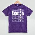 Senior 2027 Class Of 2027 Graduation Senior Grad 2027 Mineral Wash Tshirts Mineral Purple