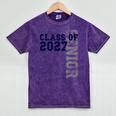 Senior Class Of 2027 Graduation Year High School & College Mineral Wash Tshirts Mineral Purple