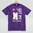 Senior Graduation 2020 Got My Dip-Llama Diploma Llama Pun Mineral Wash Tshirts Mineral Purple
