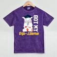Senior Graduation TShirt 2019 Got My Dip-Llama Diploma Shirt Mineral Wash Tshirts Mineral Purple
