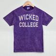 Silly Antisocial WICKED COLLEGE Introvert Don't Call Me Mineral Wash Tshirts Mineral Purple