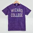 Silly Sarcastic WIZARD COLLEGE Introvert Anti Social School Mineral Wash Tshirts Mineral Purple