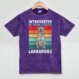 Silver Labrador Retriever Introvert Silver Lab Mineral Wash Tshirts Mineral Purple Silver Labrador Retriever Introvert Silver Lab Mineral Wash Tshirts Mineral Purple