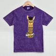 SmileteesGrad Llama Graduation T-Shirt Mineral Wash Tshirts Mineral Purple