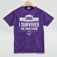 I Survived The Bar Exam Law School Lawyer Graduation Mineral Wash Tshirts Mineral Purple