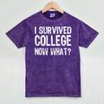 I Survived College Now What Graduate Graduation Humor Mineral Wash Tshirts Mineral Purple