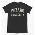 Don'T Call Me WIZARD UNIVERSITY Introvert Sarcastic Unisex T-Shirt