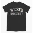 Silly WICKED UNIVERSITY Introvert Salem 1692 Senior 2025 Unisex T-Shirt